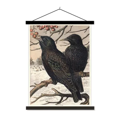 Produktbild von MuchoWow® Textilposter Antiker Vogeldruck Stare 40x53 cm mit schwarzem Rahmen - Abbildung