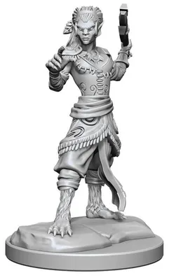 Zdjęcie produktu dla Dungeons & Dragons Nolzurs Marvelous Miniatures: Wojownik-zmiennokształtny