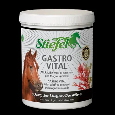 Produktbild von Stiefel Gastro Vital Ergänzungsfutter für Pferde Magen-Darm-Unterstützung 1 kg