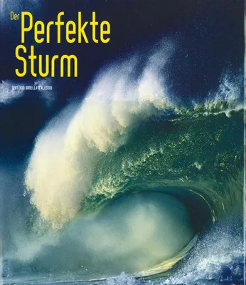 Immagine prodotto di Der Perfekte Sturm
