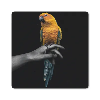Produktbild von MuchoWow® Mauspad Mousepad Vogel - Papagei - Hand - Gelb 30x30 cm - Mousepads - Maus Mat - Pad - Mausunterlage - Gaming
