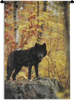 Produktbild von MuchoWow® Wandteppich Wandbehang Wolf - Fels - Baum 120x180 cm Tapisserie Dekoration Wandtuch - Schlafzimmer - Dekorationen für das Haus