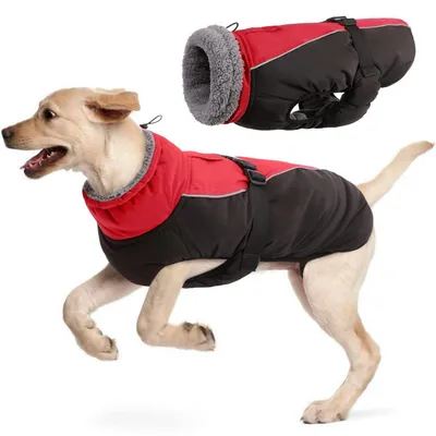 Image de Manteau imperméable pour chien, modèle hiver, couleur rouge, taille S