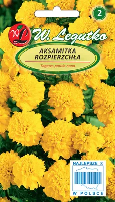 Produktbild von Ringelblumensamen, gelb blühend, mit gefüllten Blüten, einjährig, 1 g