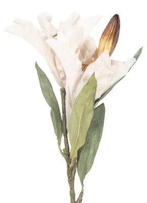 Immagine prodotto di Fiore artificiale Clayre & Eef 88 cm plastica beige