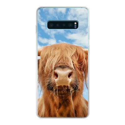 Produktbild von MuchoWow® Handyhülle Schutzhülle Hülle für Samsung Galaxy S10 Plus Schottischer Highlander - Wolke - Tiere Silikon Softcase Handy Hülle - Schutzhülle