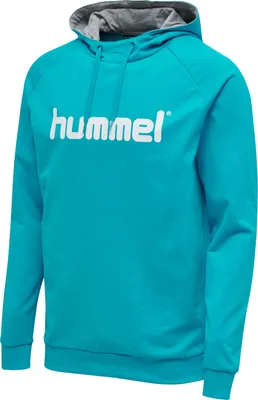 Produktbild von Hummel Go Baumwolle Logo Hoodie
