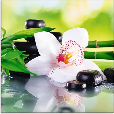 Produktbild von Africa Studio: Spa Steine, Bambus Zweige und weiße Orchidee auf dem Tisch auf natürlichen Hintergrund - Glasbild, Größe:50x50 cm / Glasbild
