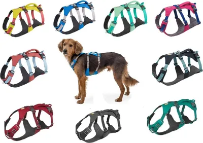 Produktbild von Ruffwear Flagline Geschirr, Farbe:Basalt Gray, Größe:M