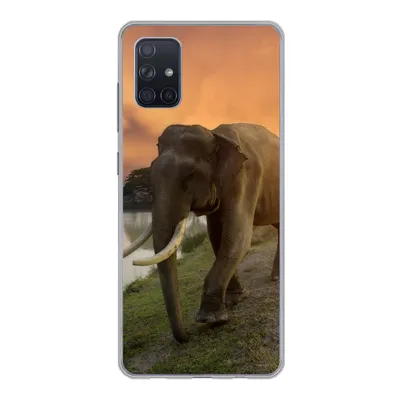 Produktbild von MuchoWow® Handyhülle Schutzhülle Hülle für Samsung Galaxy A71 Elefant - Wasser - Tiere - Sonnenuntergang - Natur Silikon Softcase Handy Hülle - Kartenbesitzer