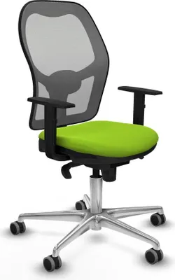 Image de Bürostuhl Piqueras y Crespo 1D086G0 Pistazienfarben
