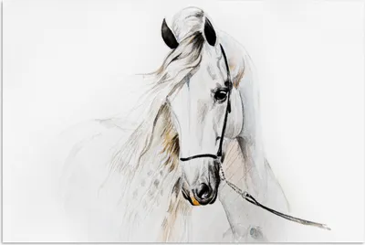 Produktbild von MuchoWow® Poster Pferd - Aquarell - Tiere - Weiß 30x20 cm - Plakate - Print
