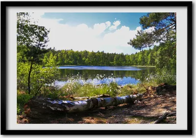 Produktbild von Bild - Bilderrahmen - 100 cm x 70 cm - MDF - Rahmen - Foto - Wandkunst Waldpanorama