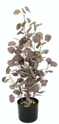 Immagine prodotto di Pianta artificiale di eucalipto in vaso, decorazione, arbusto, fusto di eucalipto dall'aspetto naturale