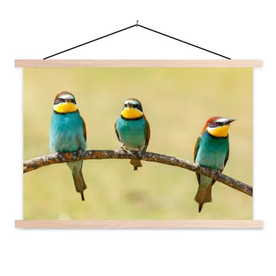 Produktbild von MuchoWow® Textilposter Vögel - Tiere - Bienenfresser 120x80 cm mit holzfarbenen Rahmen - Aufhängeset