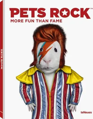 Produktbild von Pets Rock