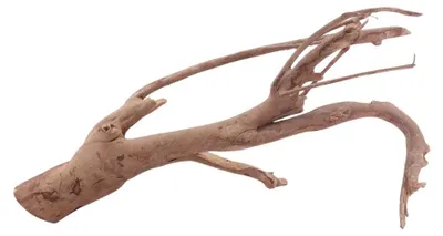 Produktbild von XL Aquarium Wurzel Unikat aus Holz, 59x22x32cm, filigran und stark verzweigt