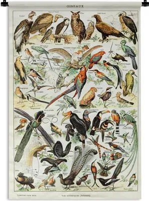 Produktbild von MuchoWow® Wandteppich Wandbehang Vogel - Tiere - Natur 60x90 cm Tapisserie Dekoration Wandtuch - Foto-Teppich - Abwaschbar