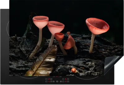 Produktbild von KitchenYeah© Herdabdeckplatte Bunte Pilze auf schwarzem Hintergrund , 78x52cm, Küche Deko, Glaskeramikkochfeld Herdabdeckung, Abdeckplatte fùr Kochfeld