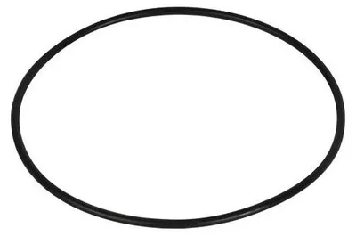Immagine prodotto di Lagostina guarnizione originale pentola pressione Pratica Brava Gaia 240mm 24cm