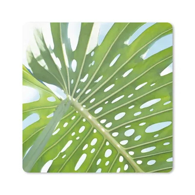 Produktbild von MuchoWow® Mauspad Mousepad Ein grünes botanisches Blatt in der Sonne 20x20 cm - Mousepads - Maus Mat - Pad - Mausunterlage - Desk Mat - Bureauartikeln