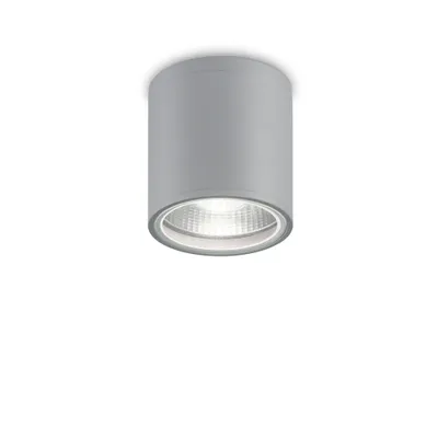 Obrázok produktu pre Moderné stropné svietidlo Gun Aluminium Grey 1 Light Gu10