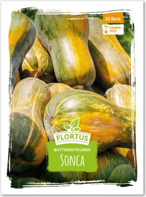 Produktbild von Butternutkürbis Sonca | Butternutkürbissamen von FLORTUS