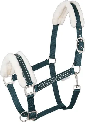 Image de Waldhausen ELEGANT Licol pour cheval doublé polaire vert