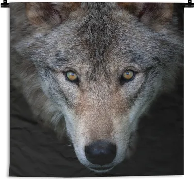 Produktbild von MuchoWow® Wandteppich Wandbehang Wolf - Porträt - Schwarz 90x90 cm Tapisserie Dekoration Wandtuch - Wandaufhänger
