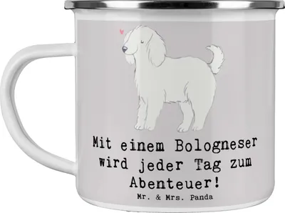 Produktbild von Mr. & Mrs. Panda Tasse Emaille Bologneser Abenteuer - Grau Pastell - Geschenk, intelligente Hunde, Haferl, Lebensfreude, Teebecher, Hundeliebe, Hunderassen Eigenschaften