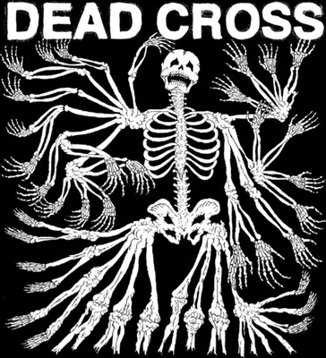 Obrázek produktu pro ImportCDs Dead Cross, Heavy metal, Vinyl, Fyzické médium, Dospělý, 1 disky, 03/08/2017
