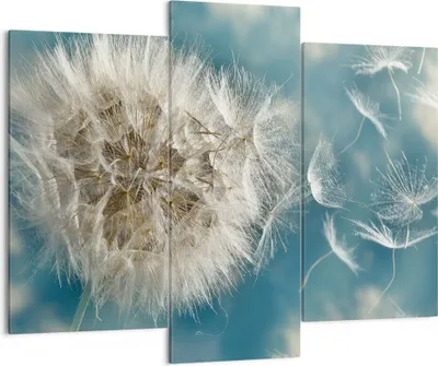 Produktbild von Bild auf Leinwand - Leinwandbild - Baby Sommer Pflanze - 130x100cm - Wand Bild - Wanddeko - Leinwanddruck - Bilder - Kunstdruck - Wanddekoration - Leinwand bilder - Wandkunst - CB130x100-3567
