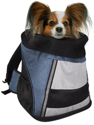 Produktbild von Hundetasche - Bauchtrage Timi Blau – 34x25x37cm – Polyester – Rückenverstärkung