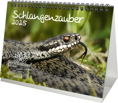 Produktbild von Schlangenzauber DIN A5 Tischkalender für 2025 - Seelenzauber