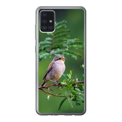 Produktbild von MuchoWow® Handyhülle Schutzhülle Hülle für Samsung Galaxy A52 5G Vogel - Baum - Wald Silikon Softcase Handy Hülle - Umschlag