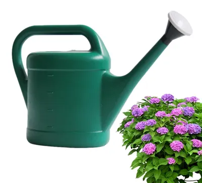 Productafbeelding van Gieter voor Planten met Lange Uitloop