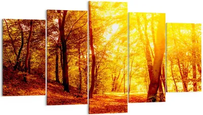 Produktbild von Bild auf Leinwand - Leinwandbild - Wald Baum Natur - 160x85cm - Wand Bild - Wanddeko - Wandbilder - Leinwanddruck - Bilder - Kunstdruck - Wanddekoration - Leinwand bilder - Wandkunst - EA160x85-3722