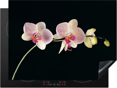 Produktbild von KitchenYeah© Herdabdeckplatte Orchidee - Blumen - Schwarz - Rosa - Knöpfe , 71x52cm, Küche Deko, Glaskeramikkochfeld Herdabdeckung, Abdeckplatte fùr Kochfeld