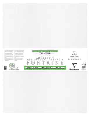 Produktbild von Clairefontaine Fontaine Extraweiß Torchon/rau, Pack 5 Bogen 56x76cm 300g 976093C