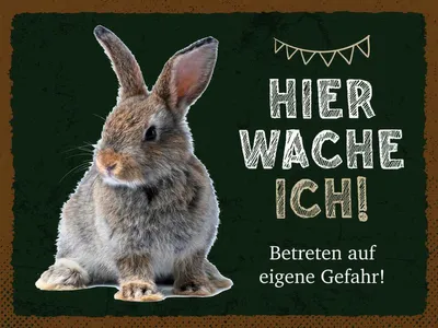 Produktbild von vianmo Holzschild 30x40 cm Kaninchen hier wache eigene Gefahr Tier Haustier
