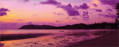 Produktbild von Wallario Poster - Sonnenuntergang unter Palmen  Himmel in lila und orange, Kunstdruck Größe: 80 x 200 cm