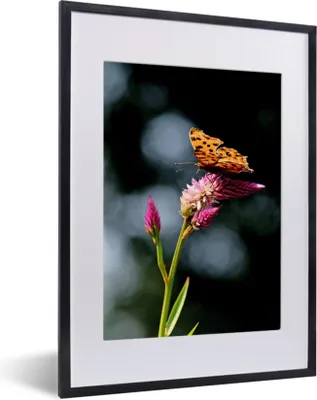 Produktbild von MuchoWow® Gerahmtes Poster Schmetterling - Blumen - Insekten 30x40 cm - Poster mit Schwarzem Bilderrahmen Wandposter Rahmen Foto Bilder - Wandposter Schlafzimmer
