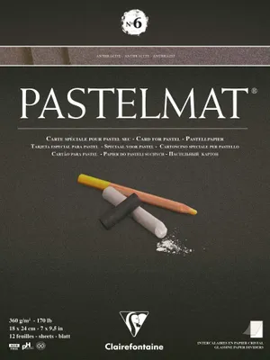 Immagine prodotto di Clairefontaine Pastelmat N°6 18x24cm 360g 12 fogli