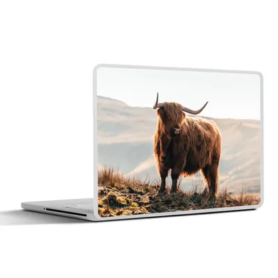 Produktbild von MuchoWow® Laptop Aufkleber Sticker Cover Schottische Highlander - Tiere - Ländlich - Landschaft - Kuh - Natur 40x30 cm - Laptop Dekoration - Selbstklebend