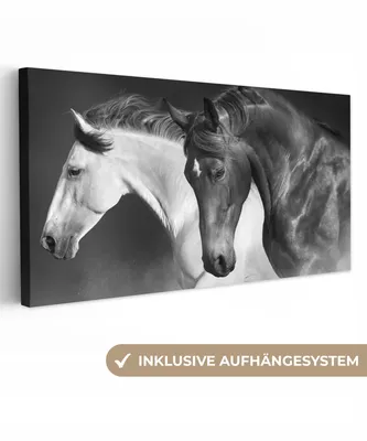 Produktbild von MuchoWow® - Leinwandbilder - Pferde - Tiere - Schwarz - Weiß - Porträt, Wandbild, Wanddeko Bilder Wohnzimmer, 40x20 cm