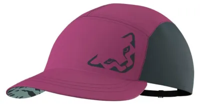 Imagen del producto de Dynafit Gorras 720856A51