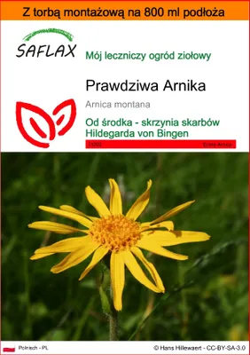 Zdjęcie produktu dla SAFLAX - Garden in the bag - Prawdziwa Arnika - 40 Nasiona - Z podłożem uprawowym w praktycznej, samorozkładającej się torbie - Arnica montana
