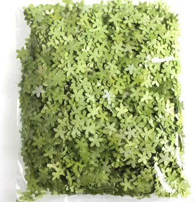 Produktbild von Streu Schleierkraut Ø8mm Streublüte Streudeko Gypsophilla Tischdeko 14g Streuteile, Farbe:hellgrün