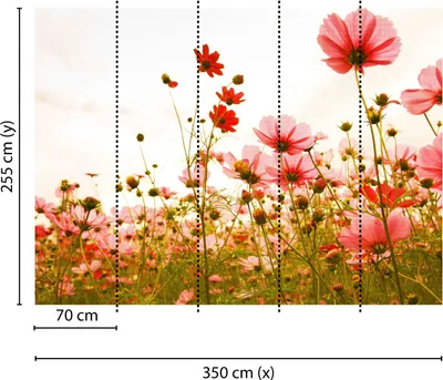 Produktbild von Tadessi Fototapete | Blumen | 3.50 m x 2.55 m | Rosa | Grün | Wandbild | Digitaldruck