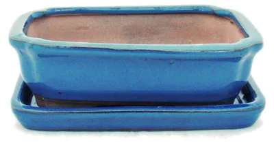 Zdjęcie produktu dla Doniczka do bonsai z podstawką, rozmiar 2 – niebieska – kwadratowa – model G12 – dł. 15,5 cm – gł. 11,5 cm – wys. 4,5 cm